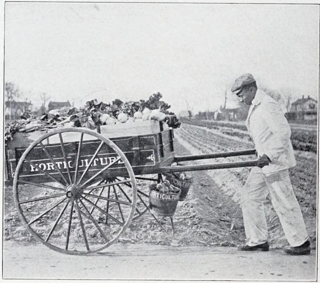 A Load of Vegetables, Hampton Institute