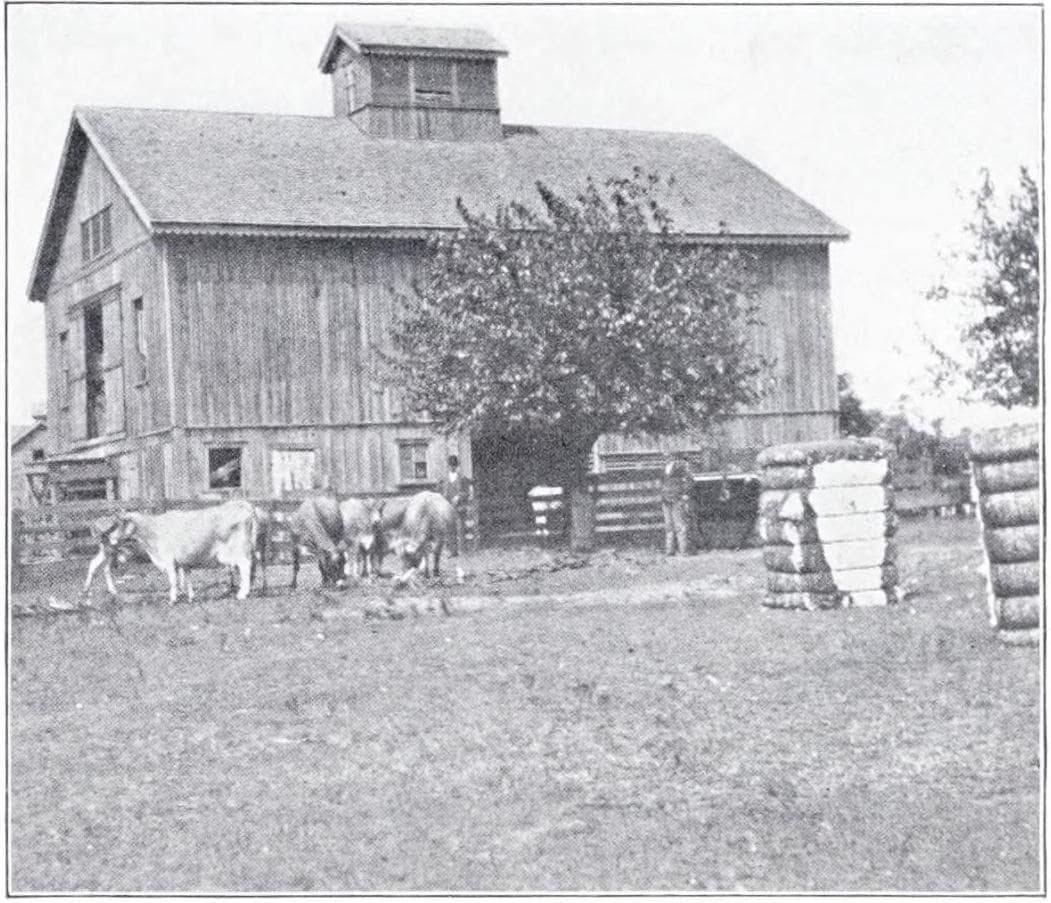 Farm Scene, State Agricultural College